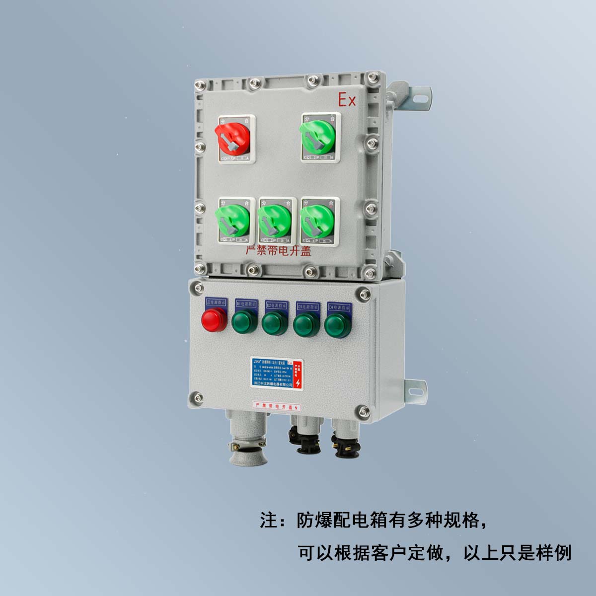 BXM(D)58 系列91视频最新网址照明(动力)配电箱 (ⅡB、ⅡC、DIP)